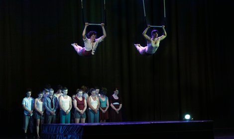 Trapeze circus
