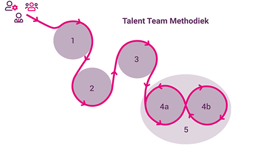 Tool Team Talent Methodiek