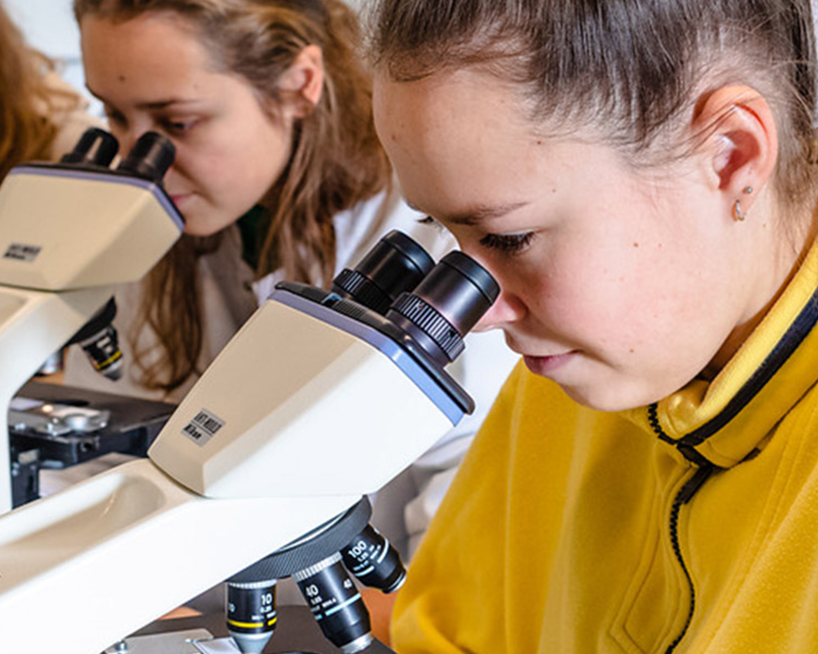 Studenten onderzoeken met microscoop