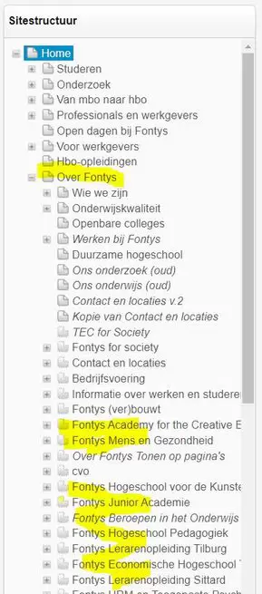 Instituutssite op Fontys.NL