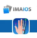 e-Anatomy IMAIOS