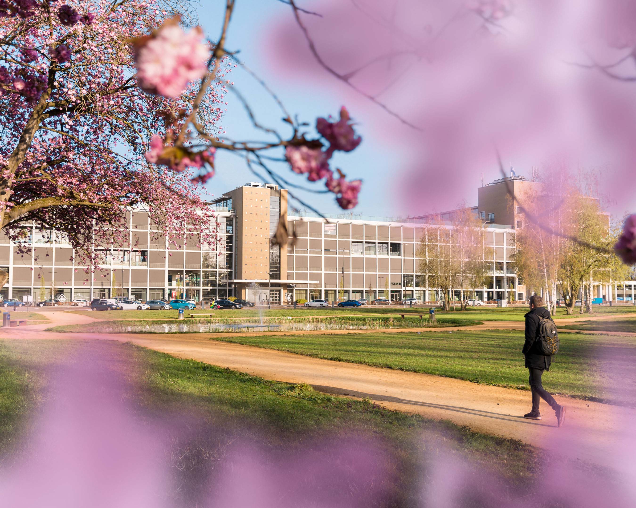 Studenten Ad-ICT deeltijd