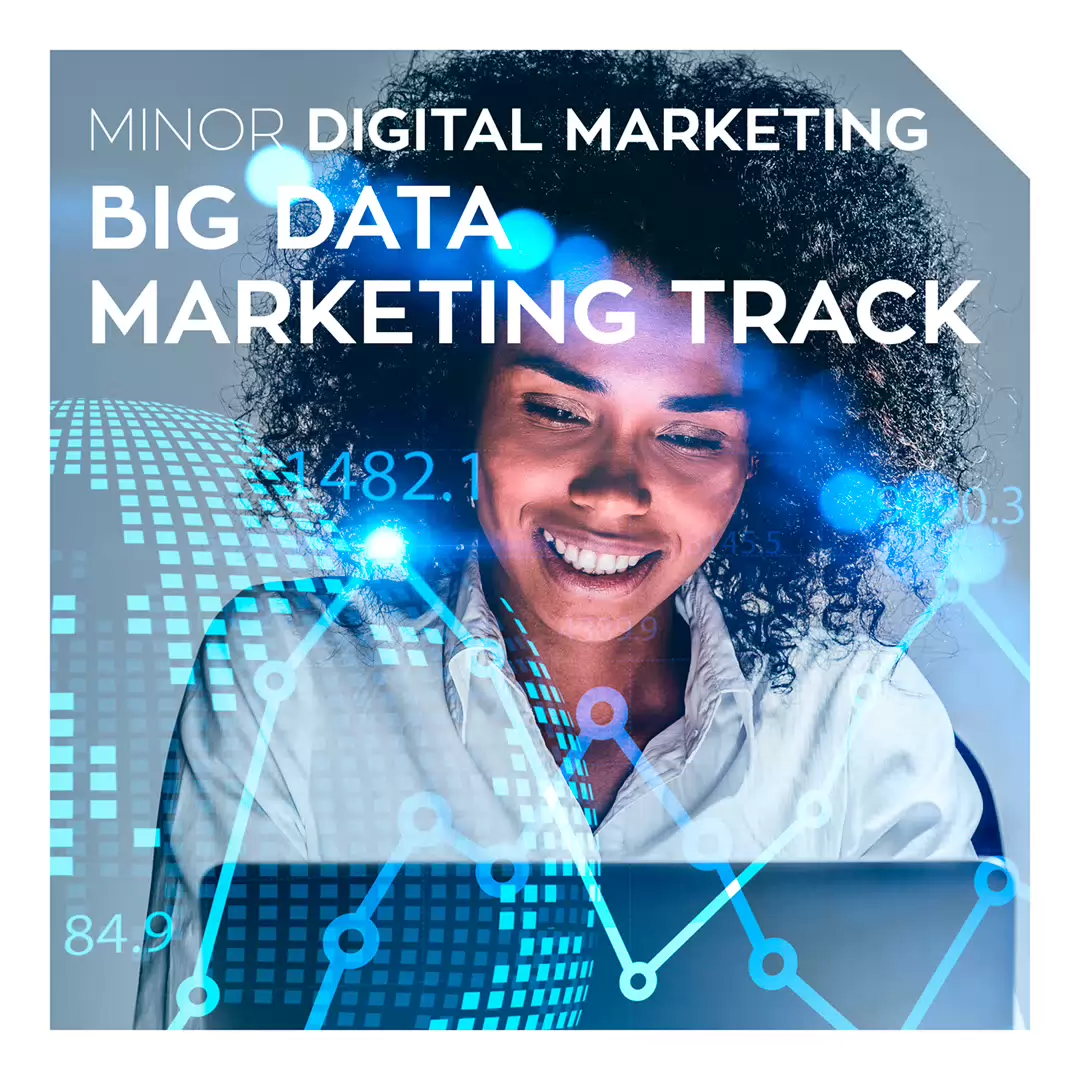 MINOR DIGITAL MARKETING - BIG DATA MARKETING