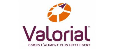 Logo Pole Valorial