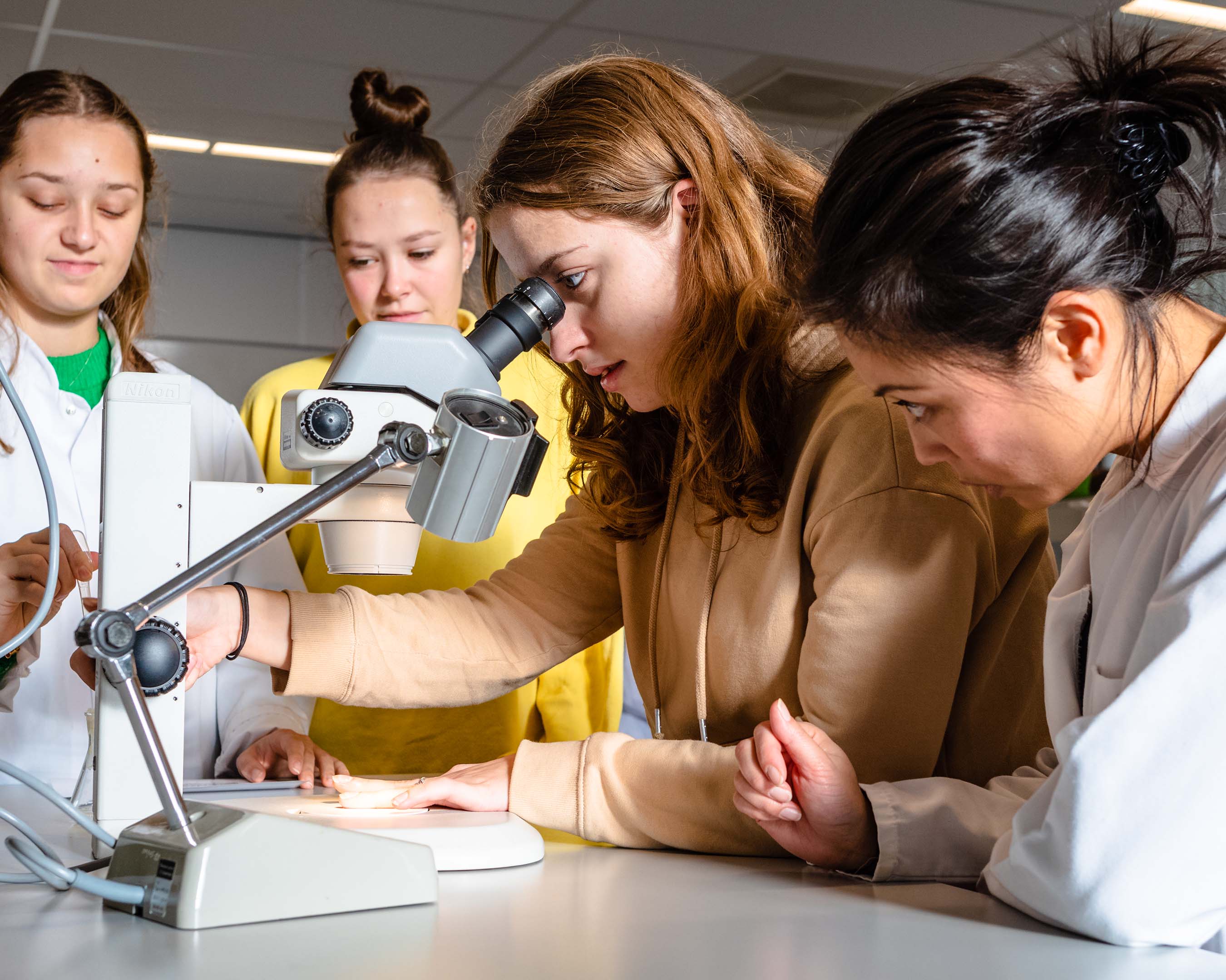 Studenten doen onderzoek met microscoop