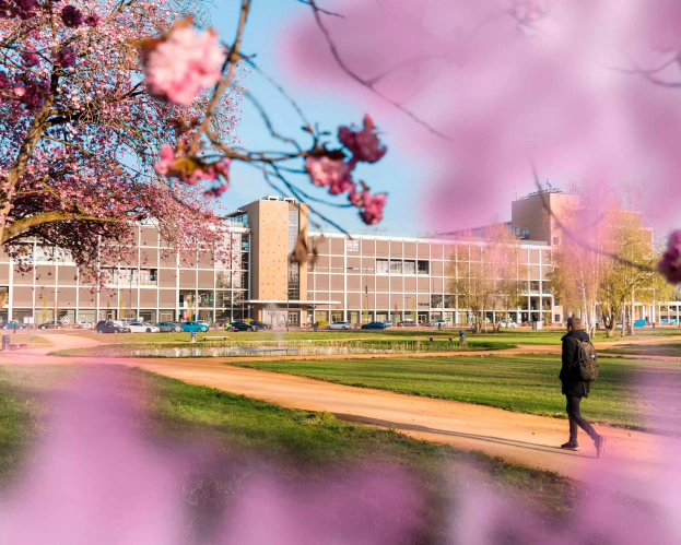 Studenten Ad-ICT deeltijd