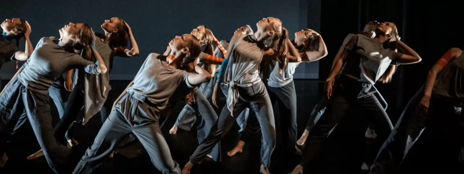 Placeholder for Fontys video