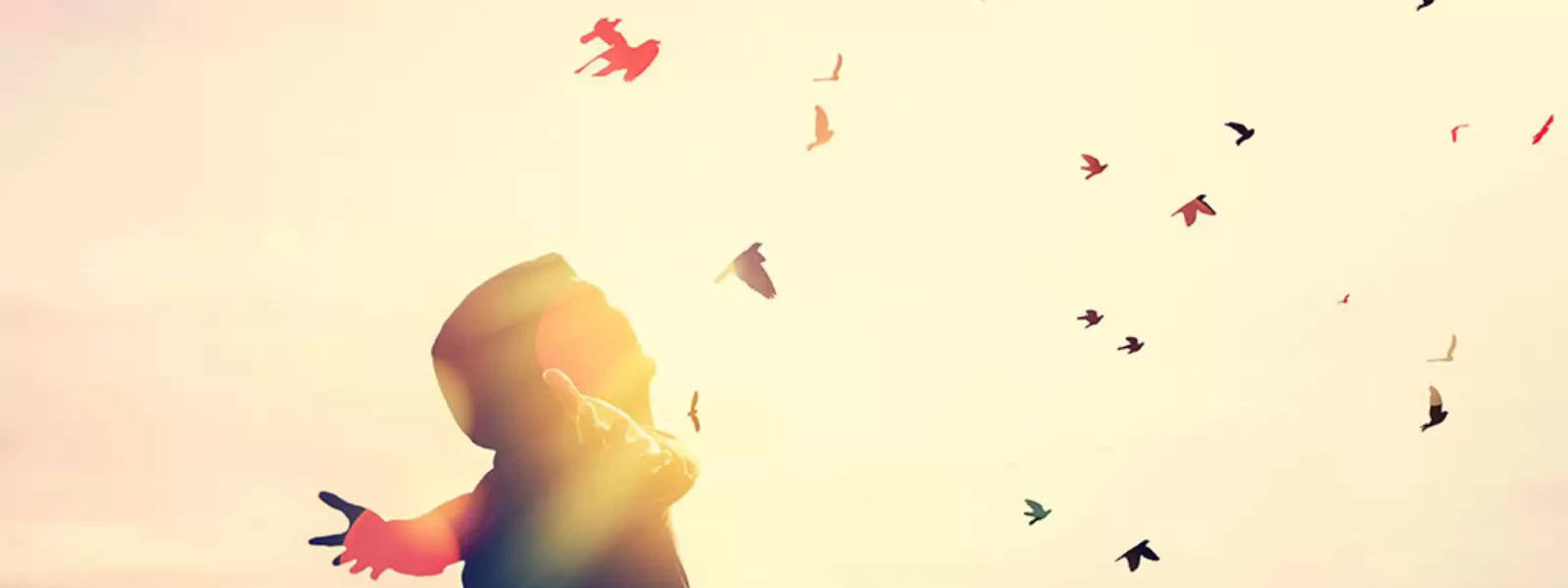 Placeholder for Fontys video