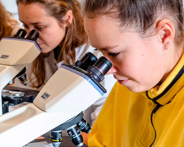 Studenten onderzoeken met microscoop