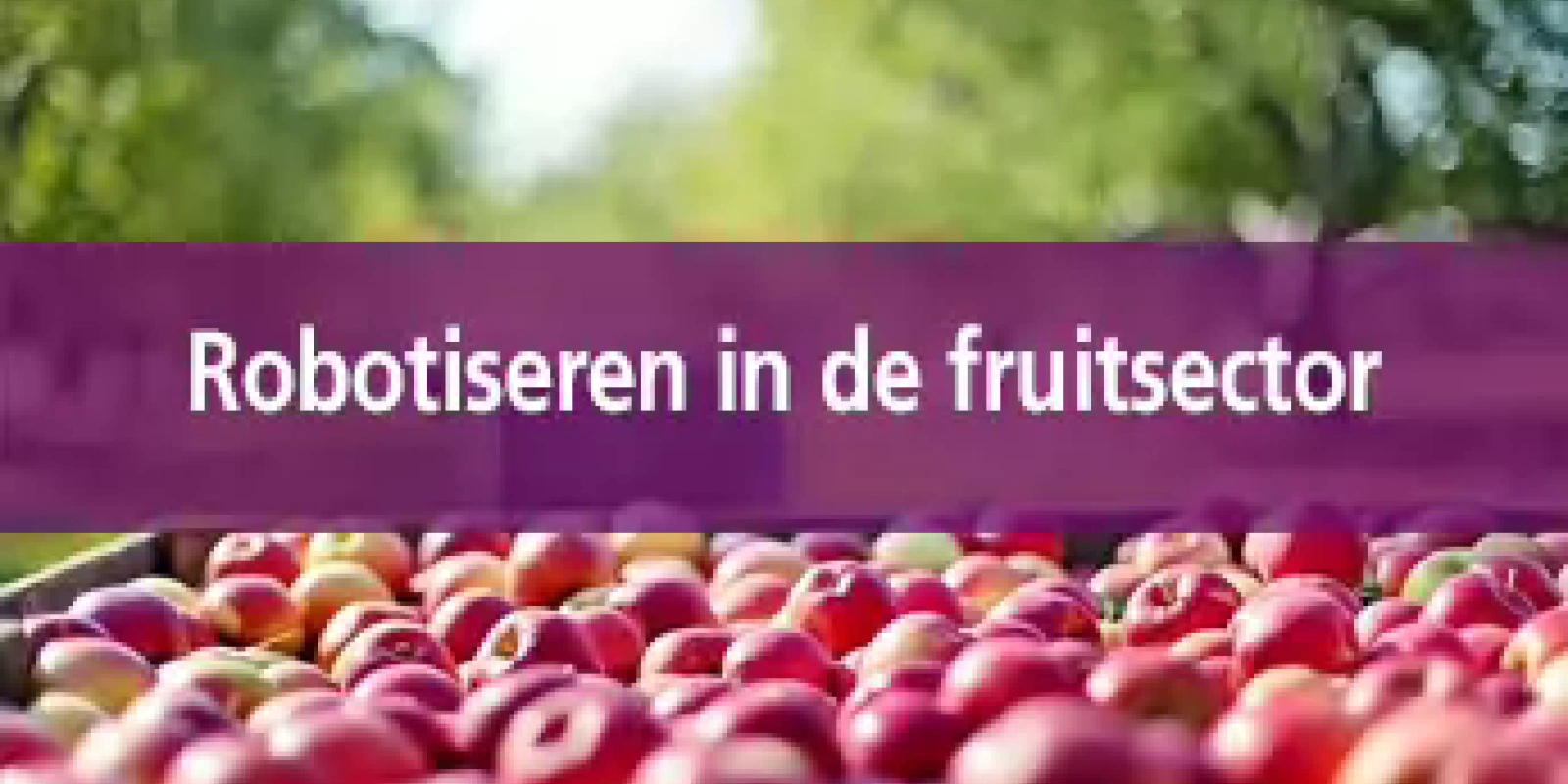 Placeholder for Fontys video