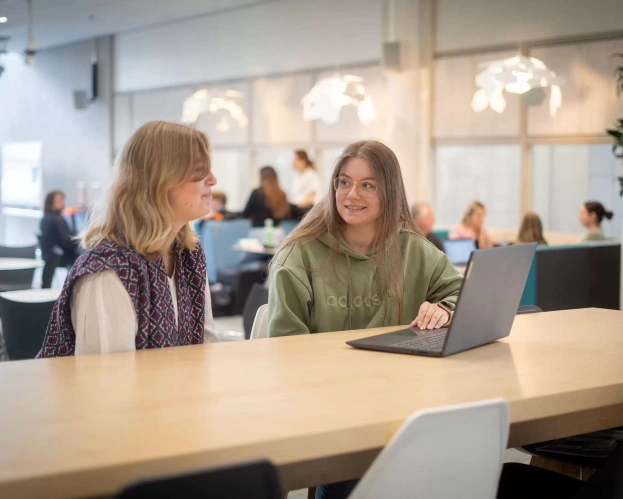 Studenten achter laptop in studieruimte