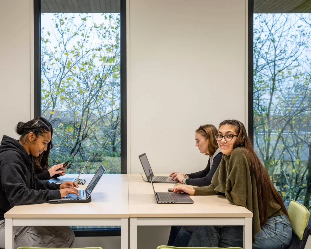 Students of master of science are working at an assignment